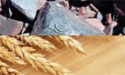 گندم آذربایجان